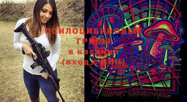дмт Карталы