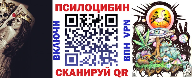 Псилоцибиновые грибы Psilocybe  где найти   Димитровград 